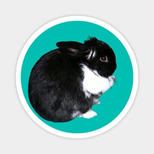 Black and White Cute Bunny Magnet